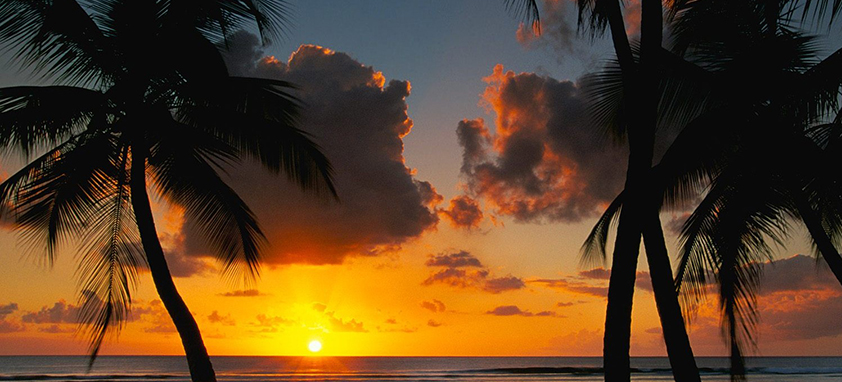 免费网络电话呼叫系统